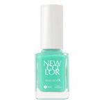 Imagen de Esmalte Newcolor N°8.20