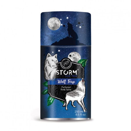Imagen de Desodorante Storm Men 250 ml Wolf Trap