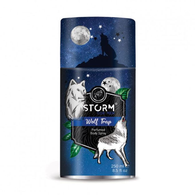 Imagen de Desodorante Storm Men 250 ml Wolf Trap