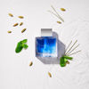 Imagen de Banderas Blue Seduction Men Edt 100 ml