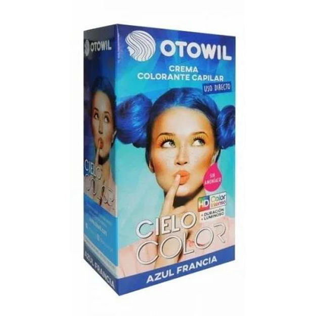 Imagen de Tinta Fantasia Otowil Cielo Color 47 gr Azul Francia