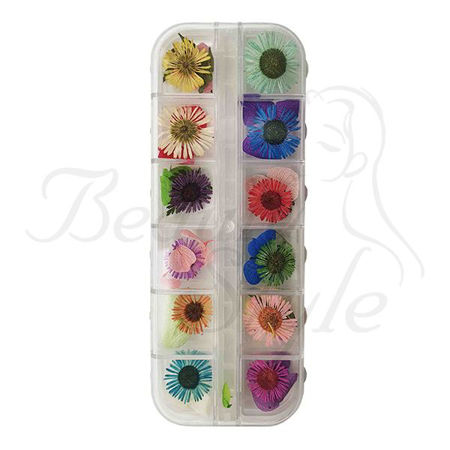 Imagen de Decoracion para Uñas Beauty Style 2464933