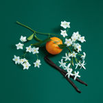 Imagen de Benetton Sisterland Green Jasmine Edt 80 ml