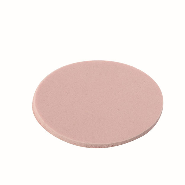 Imagen de Esponja Cisne Oval Latex Eurostil