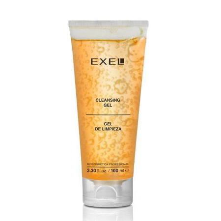 Imagen de Gel de Limpieza Exel 100 ml