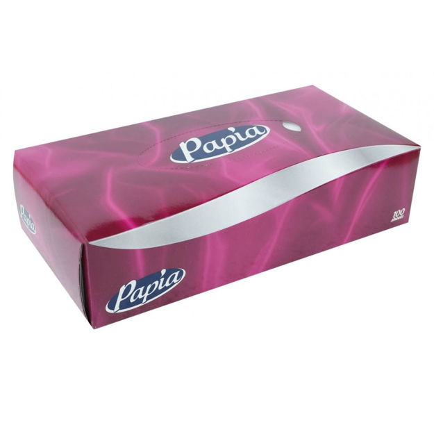 Imagen de Pañuelos Desechables Papia Caja x100