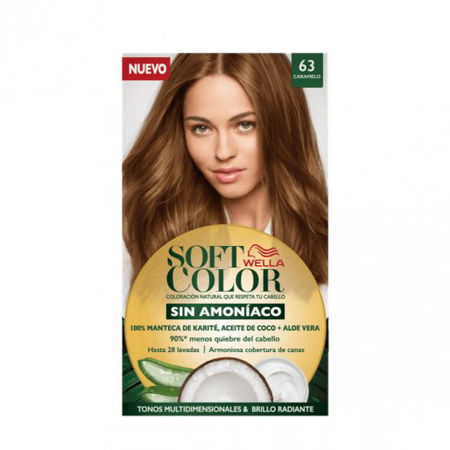 Imagen de Tinta Soft Color Nº63