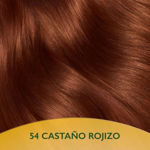 Imagen de Tinta Soft Color Nº54