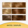 Imagen de Tinta Soft Color Nº73