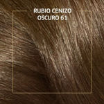Imagen de Tinta Koleston Kit Nº61 Rubio Cenizo Oscuro