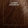Imagen de Tinta Koleston Kit Nº40 Castaño Medio