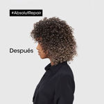 Imagen de Máscara Dorada Absolut Repair Loreal Pro 250 ml