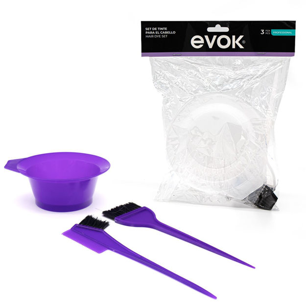 Imagen de Kit Bowl y 2 Pinceles de Tinta Evok