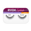 Imagen de Pestañas Postizas Evok 4D67 Black