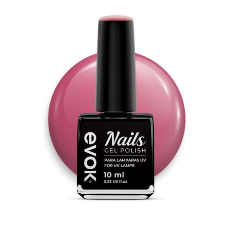 Imagen de Esmalte Gel Semipermanente Evok N°262