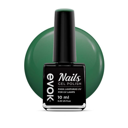 Imagen de Esmalte Gel Semipermanente Evok N°385