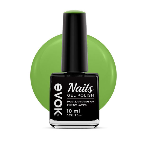 Imagen de Esmalte Gel Semipermanente Evok N06