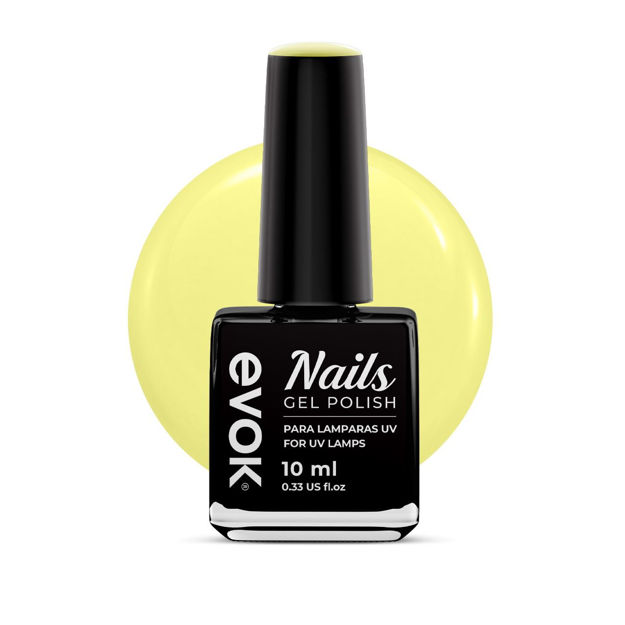 Imagen de Esmalte Gel Semipermanente Evok N03