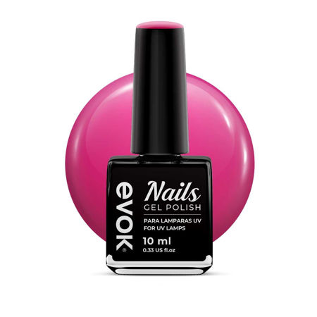 Imagen de Esmalte Gel Semipermanente Evok N°793
