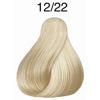 Imagen de Tinta Color Perfect 60 ml Nº12.22