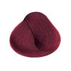 Imagen de Tinta Alfaparf Evolution of the Color 60 ml N°6.66i