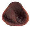 Imagen de Tinta Alfaparf Evolution of the Color 60 ml N°6.4