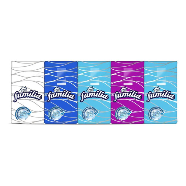 Imagen de Pack de Pañuelos Familia 10 unidades