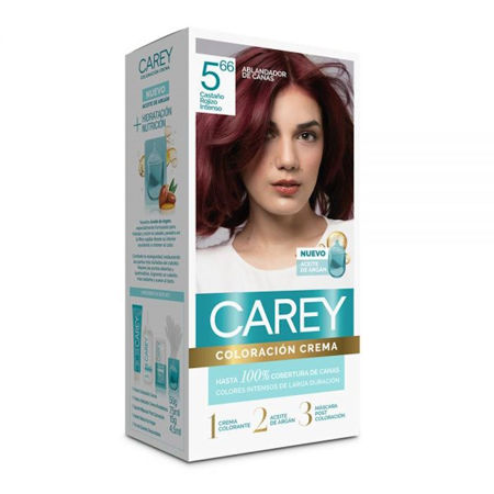 Imagen de Tinta Carey Kit Nº5.66