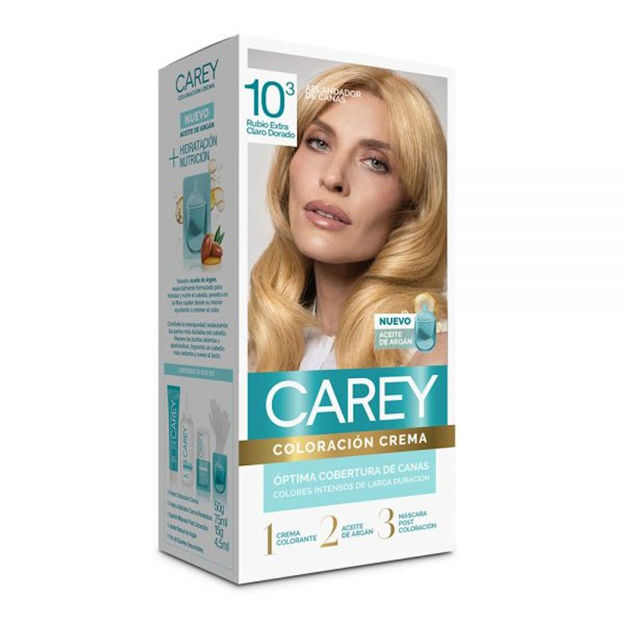 Imagen de Tinta Carey Kit Nº10.3