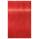 Imagen de Tinta Igora Royal 60 ml N°0.88 Concentrado Rojo