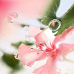 Imagen de Lancome Over the Top Edt 100 ml