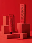 Imagen de Tinta Igora Royal 60 ml N°6.46 Rubio Oscuro Beige Chocolate