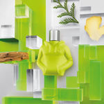 Imagen de Benetton We Are Tribe Play Man Edt 90 ml