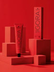 Imagen de Tinta Igora Royal 60 ml N°8.77 Rubio Claro Cobrizo Intenso