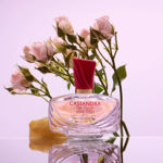 Imagen de Jean Arthes Cassandra Rose Vanille Women Edp 100 ml