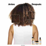 Imagen de Shampoo Reparador Absolut Repair Gold Loreal Pro 1500 ml