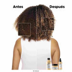 Imagen de Máscara Dorada Absolut Repair Loreal Pro 250 ml