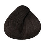 Imagen de Tinta Alfaparf Shine Effect 60 ml N°4