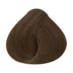 Imagen de Tinta Alfaparf Shine Effect 60 ml N°6.3