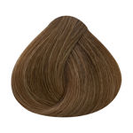 Imagen de Tinta Alfaparf Shine Effect 60 ml N°7.3