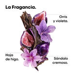 Imagen de Shampoo Keratin Alpha Sleek Loreal Pro 1500 ml