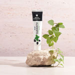 Imagen de Gel Dental Sri Sri Sudanta Efecto Blanqueador 200 g